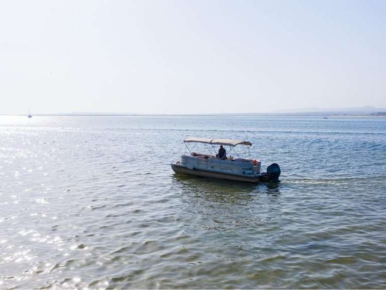 Short Boat Tour in Ria Formosa: If you're in Faro and short on time but still eager to experience the wonders of Ria Formosa, our short boat tour is perfect for you. As one of the 7 Natural Wonders of Portugal, Ria Formosa National Park is a must-see destination. Hop aboard our comfortable catamaran for a one-hour journey that covers the highlights of this incredible natural park.